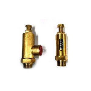 NGLE Safety Valve Manufacturer | Kolkata