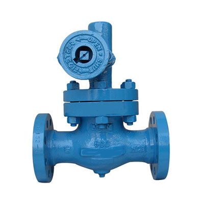 Blow Down Valves Manufacturer in Kolkata