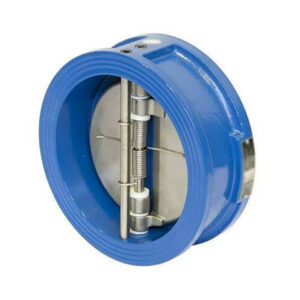 CI WATER TYPE DUAL PLATE CHECK valves manufacturer in Kolkata