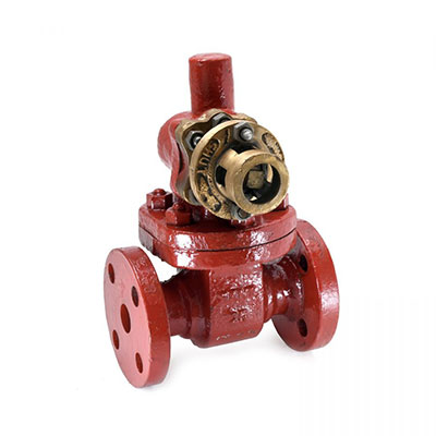 CAST CS Parallel Slide Blow Off Valves Manufacturer | Kolkata