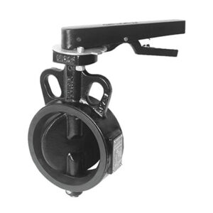 Cast Iron Butterfly Valves Manufacturer in Kolkata