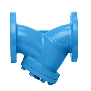 Cast Iron Y Type Strainer Manufacturer in Kolkata