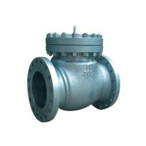 Cast Steel Check Valve Manufacturer