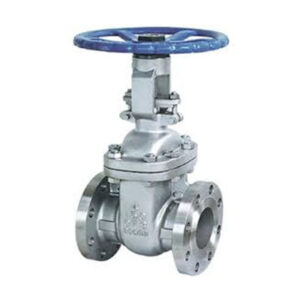 Cast Steel Gate Valve Manufacturer in Kolkata