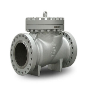 CHECK valves manufacturer in Kolkata