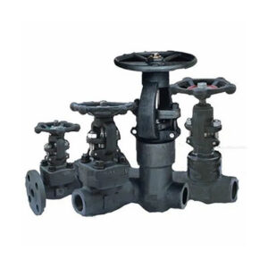 Forged CS Gate Globe & Check Valves Manufacturer | Kolkata