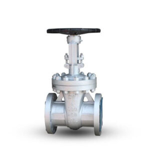 GATE Valves Manufacturer in Kolkata