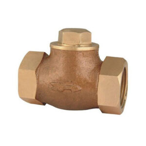 Horizontal Check Valve Manufacturer in Kolkata