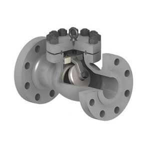 Swing Type Check Valve Manufacturer in Kolkata